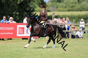 VIK-4274