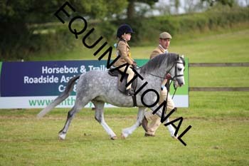 VIK-6111