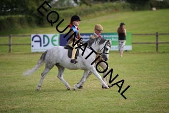 VIK-6131