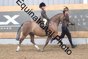 HUX-1017