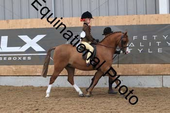 HUX-1363