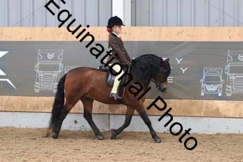HUX-1379
