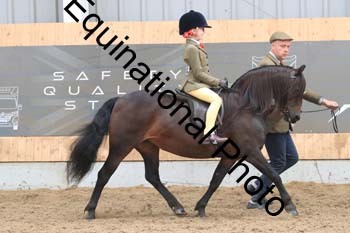HUX-1699