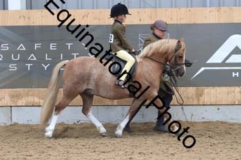 HUX-1703